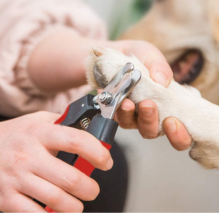 CORTA UÑAS + LIMA PARA MASCOTAS